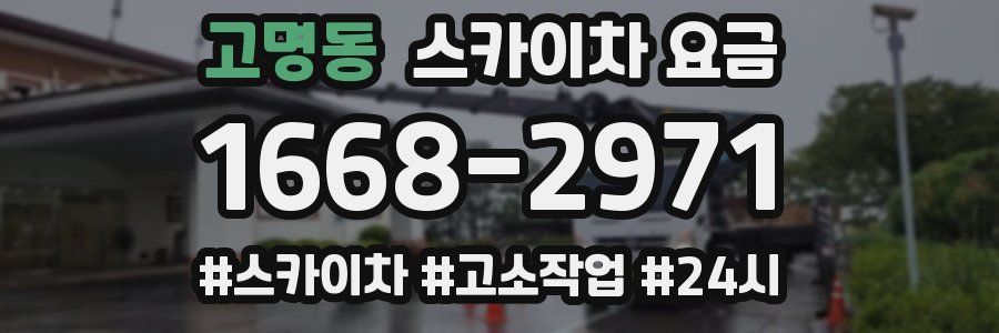 고명동 스카이차 요금