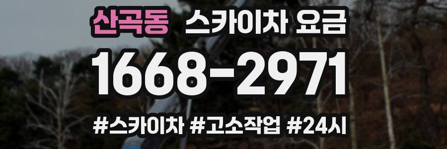 산곡동 스카이차 요금
