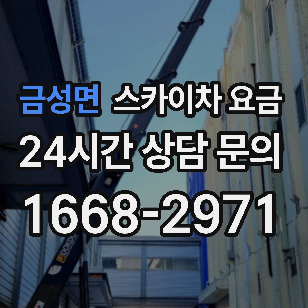 금성면 스카이차 요금