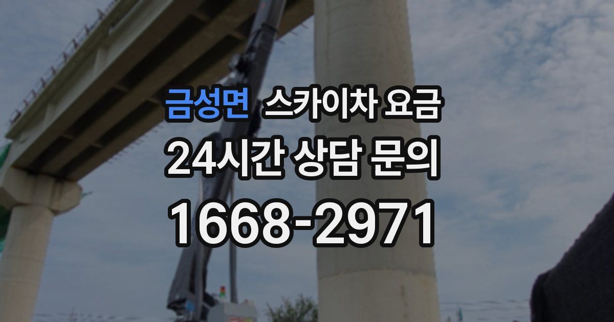 금성면 스카이차 요금