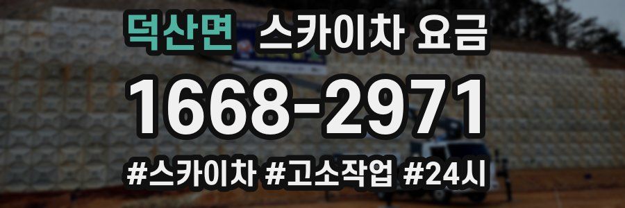 덕산면 스카이차 요금