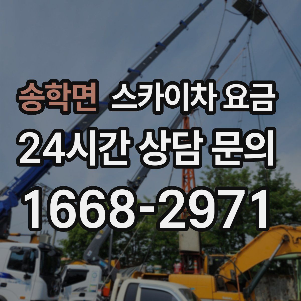 송학면 스카이차 요금