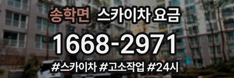 송학면 스카이차 요금
