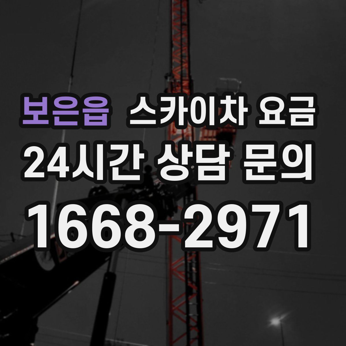 보은읍 스카이차 요금