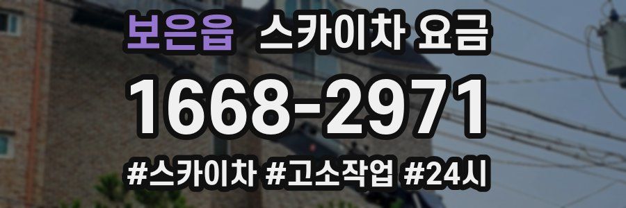 보은읍 스카이차 요금