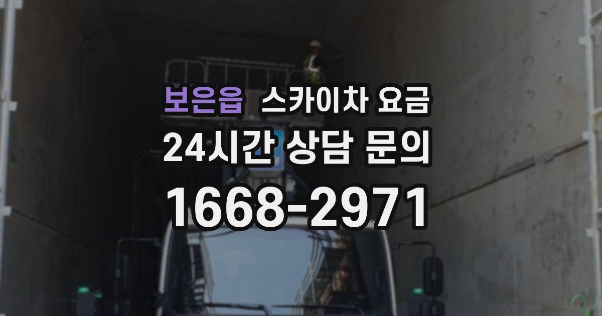 보은읍 스카이차 요금