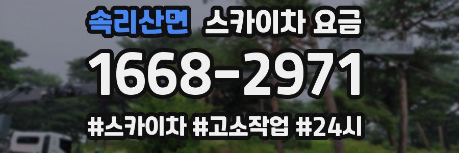 속리산면 스카이차 요금