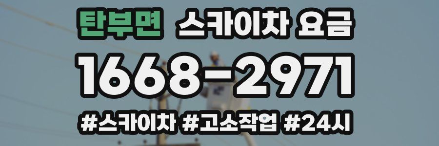 탄부면 스카이차 요금