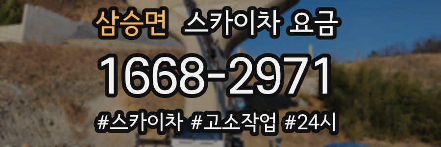 삼승면 스카이차 요금