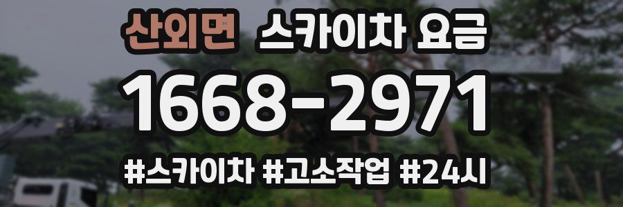 산외면 스카이차 요금