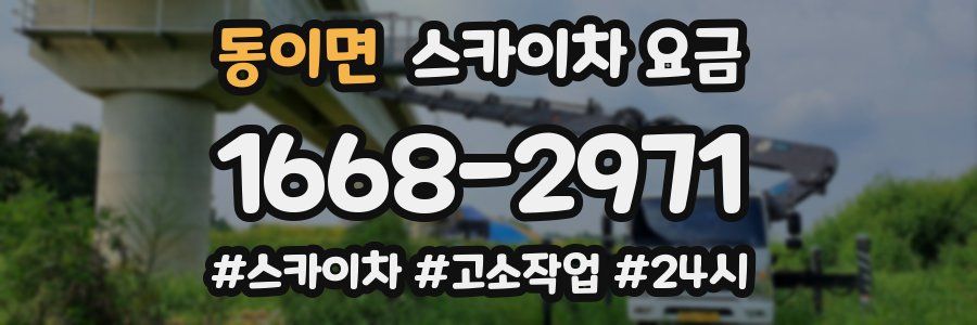 동이면 스카이차 요금