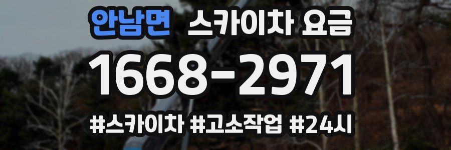 안남면 스카이차 요금
