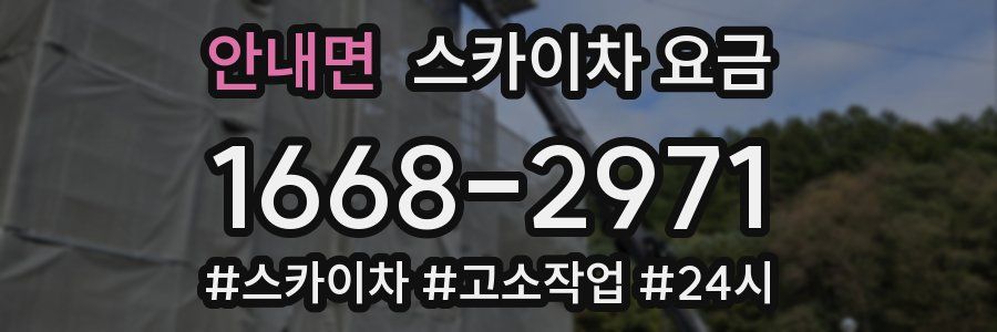 안내면 스카이차 요금