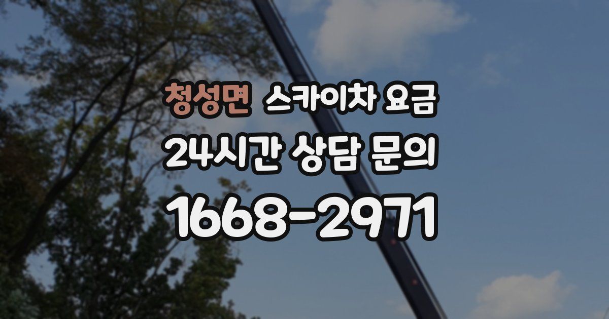 청성면 스카이차 요금