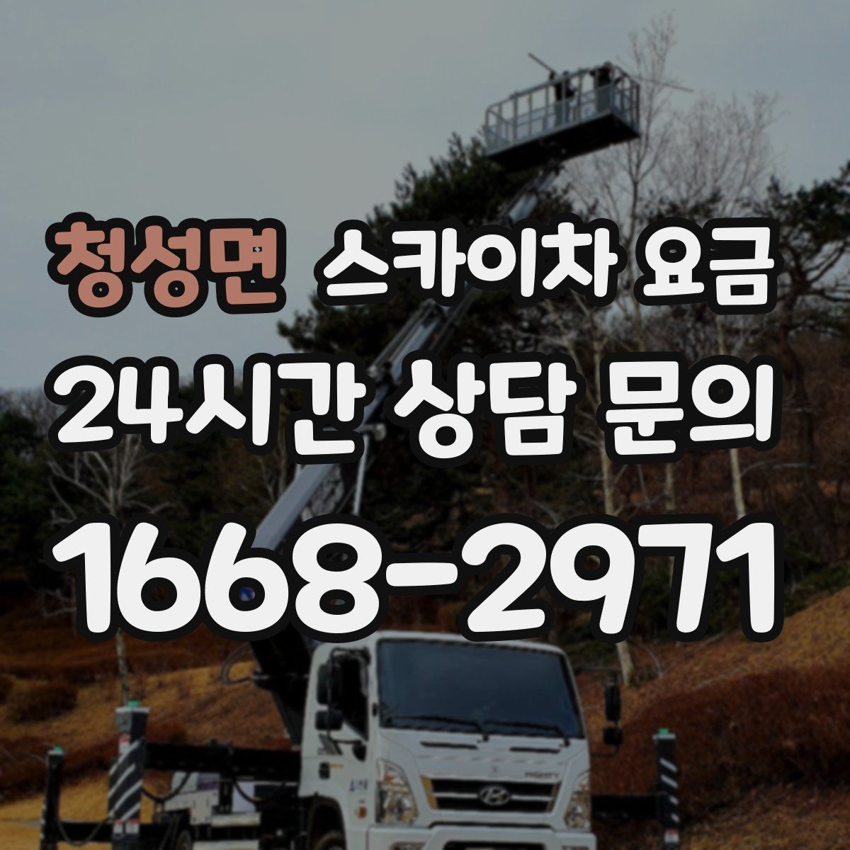 청성면 스카이차 요금