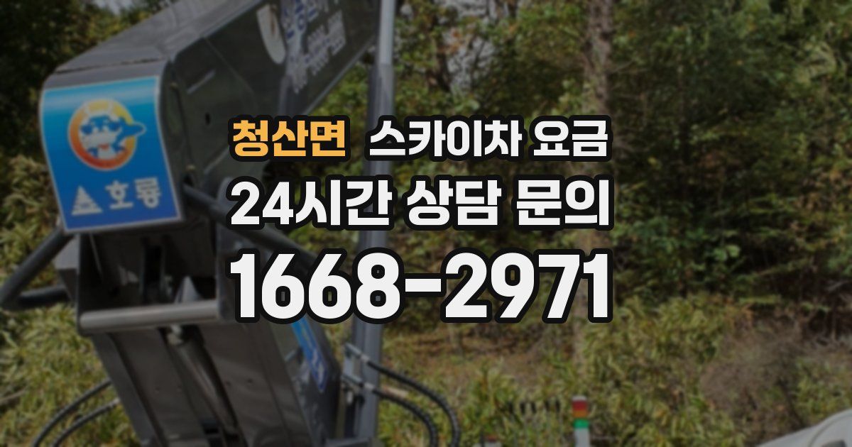 청산면 스카이차 요금
