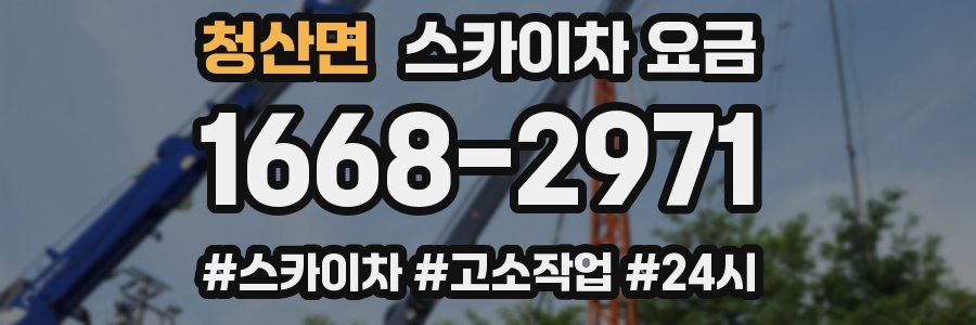 청산면 스카이차 요금