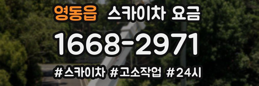 영동읍 스카이차 요금