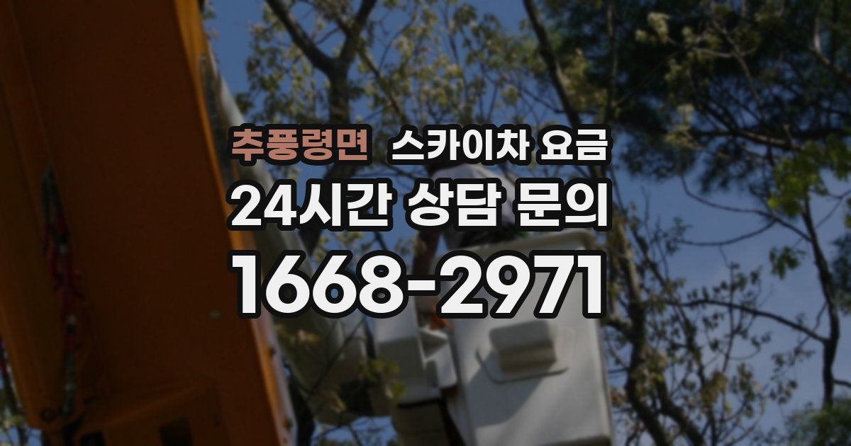 추풍령면 스카이차 요금