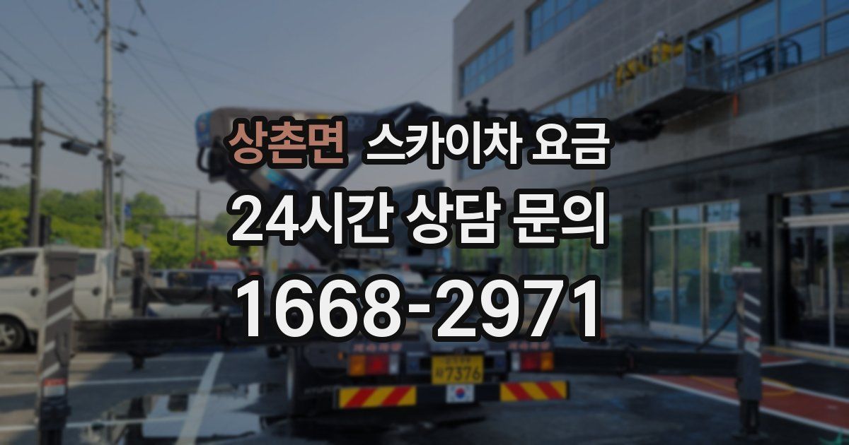 상촌면 스카이차 요금
