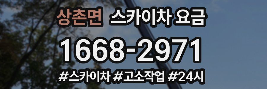 상촌면 스카이차 요금
