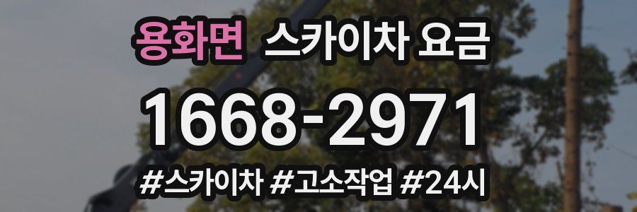 용화면 스카이차 요금