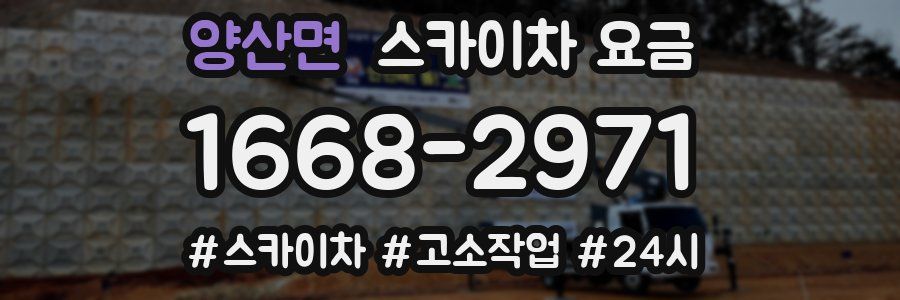 양산면 스카이차 요금