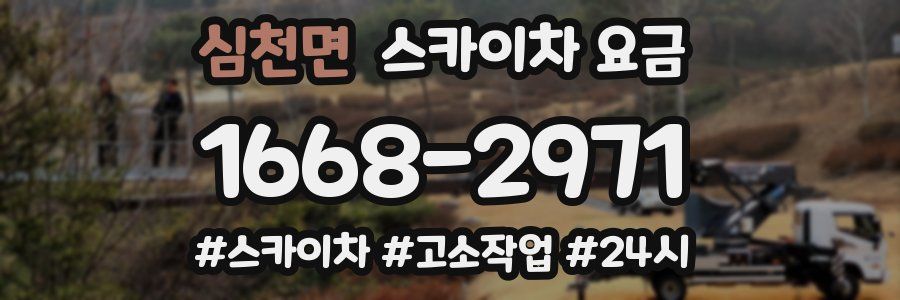 심천면 스카이차 요금