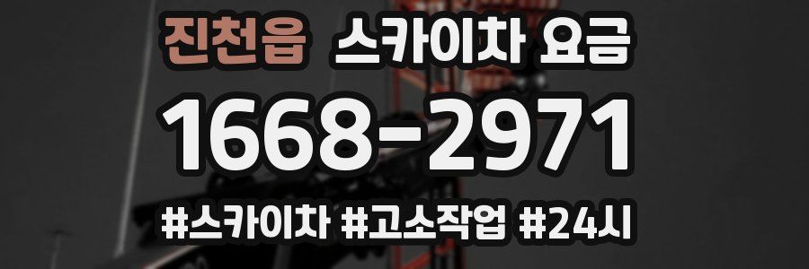 진천읍 스카이차 요금