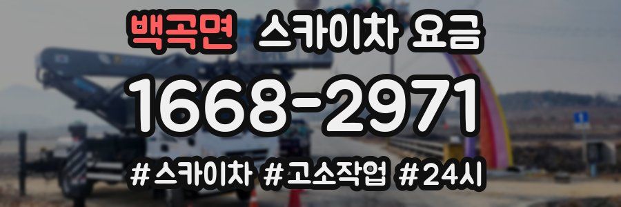 백곡면 스카이차 요금