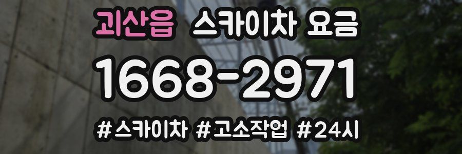 괴산읍 스카이차 요금