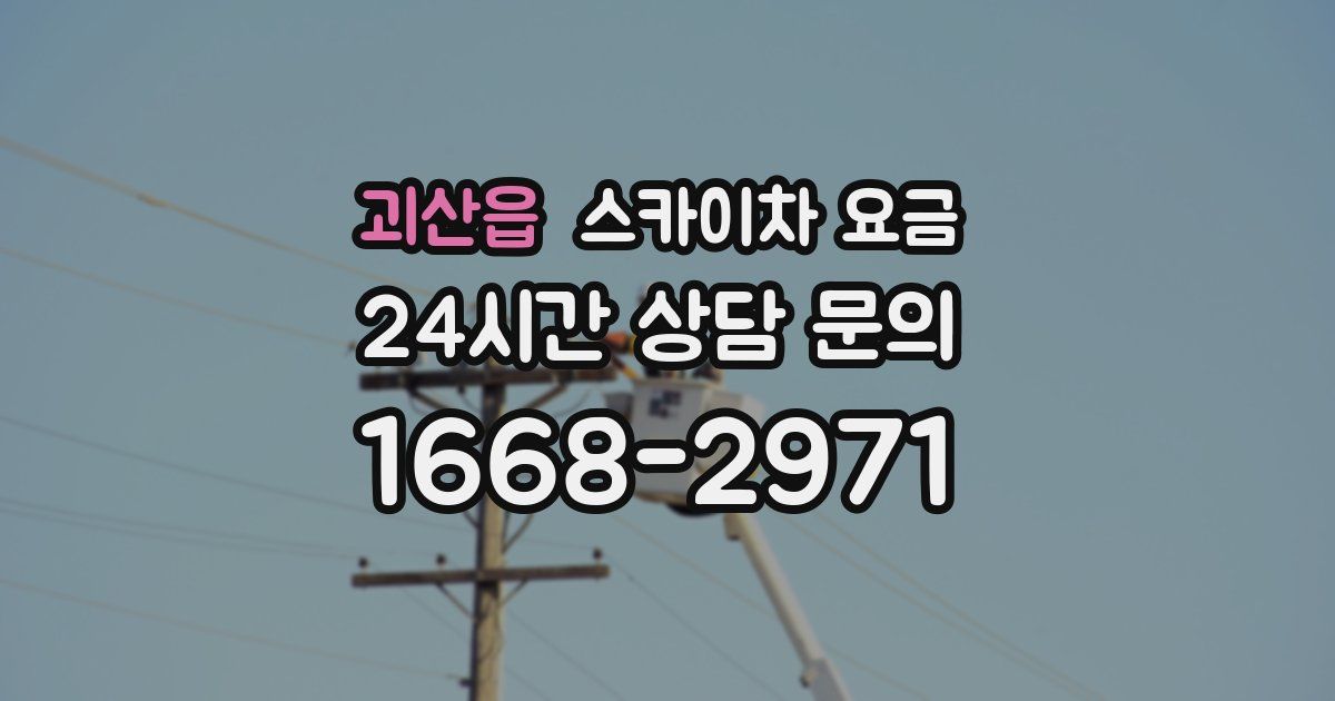 괴산읍 스카이차 요금