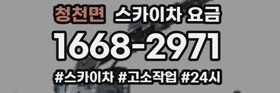 청천면 스카이차 요금
