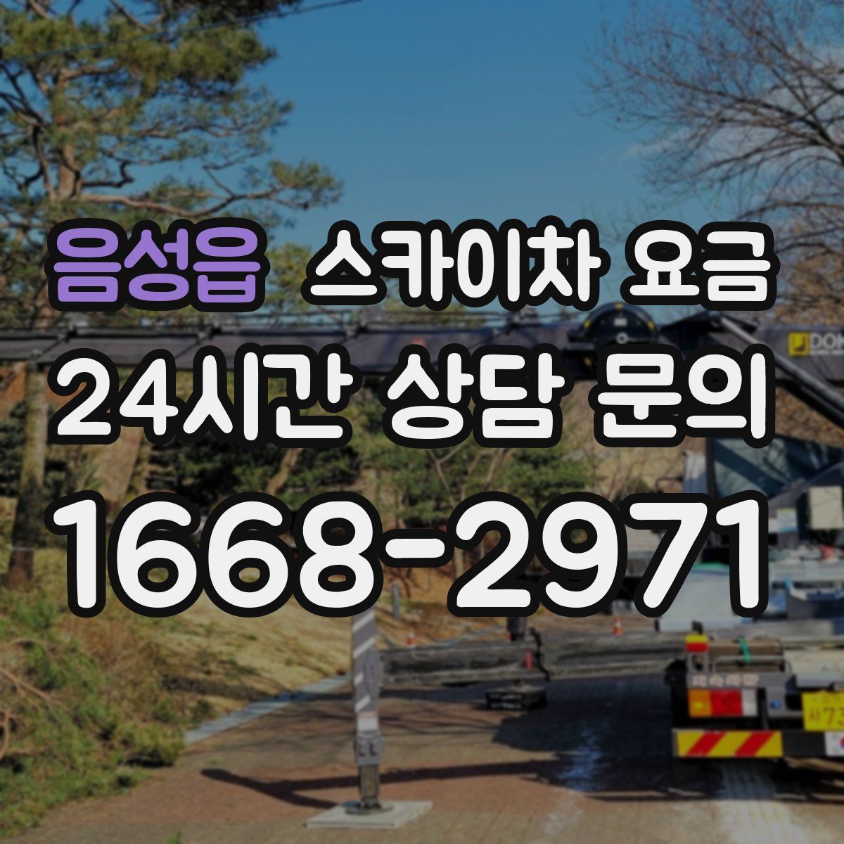 음성읍 스카이차 요금