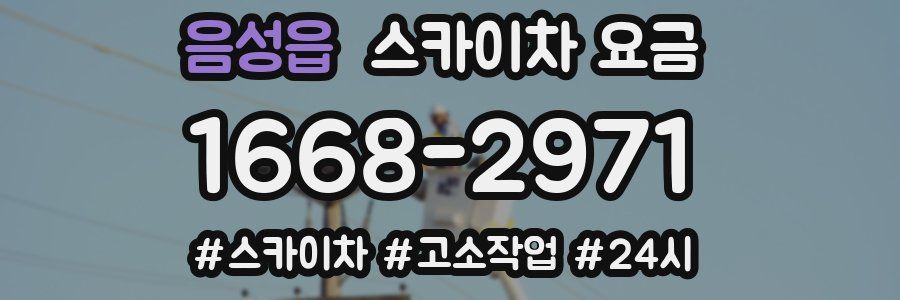 음성읍 스카이차 요금