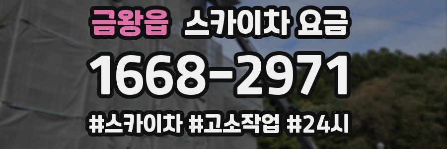 금왕읍 스카이차 요금