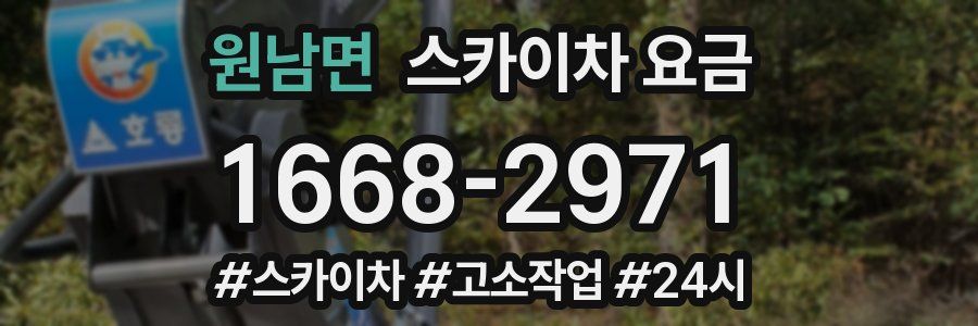 원남면 스카이차 요금