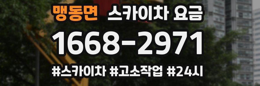 맹동면 스카이차 요금