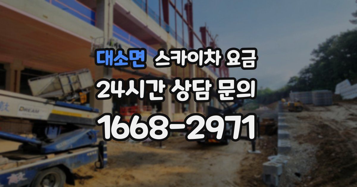 대소면 스카이차 요금