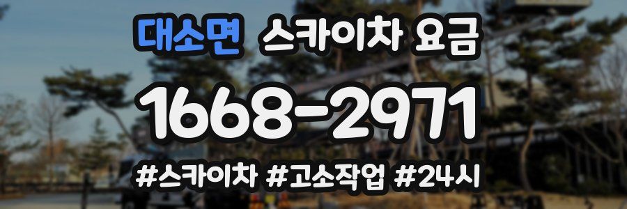 대소면 스카이차 요금