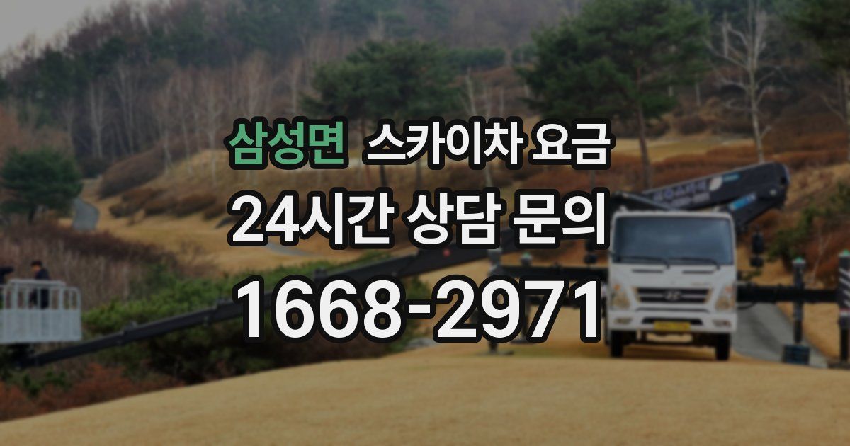삼성면 스카이차 요금