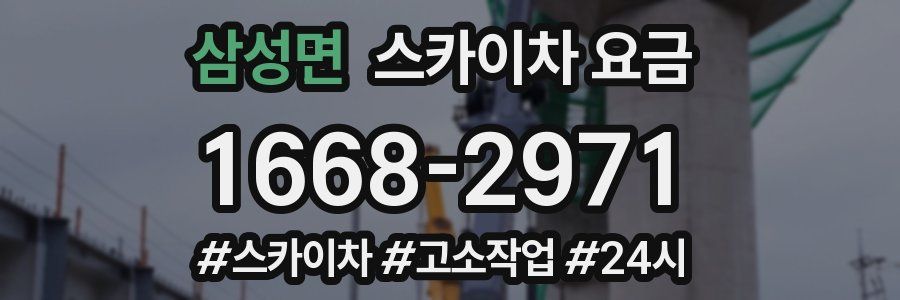 삼성면 스카이차 요금