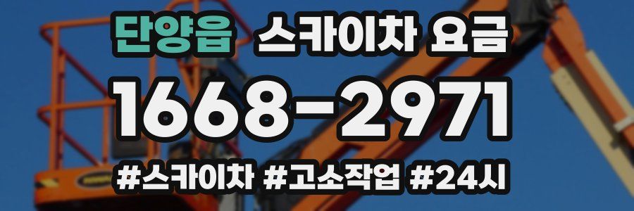 단양읍 스카이차 요금