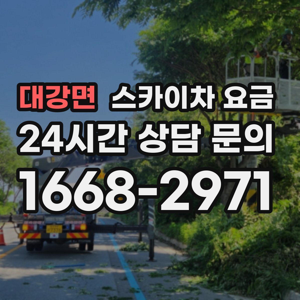 대강면 스카이차 요금