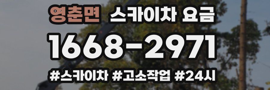 영춘면 스카이차 요금