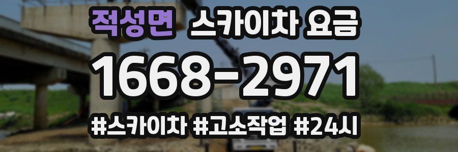 적성면 스카이차 요금