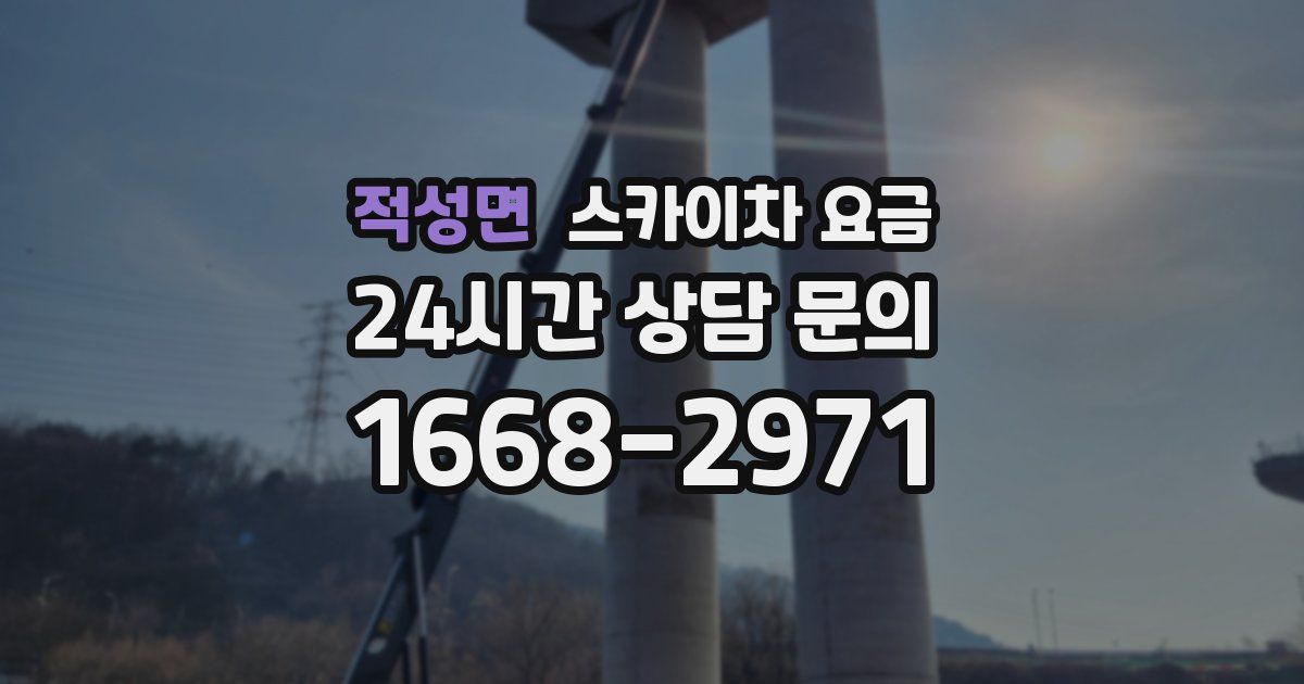 적성면 스카이차 요금