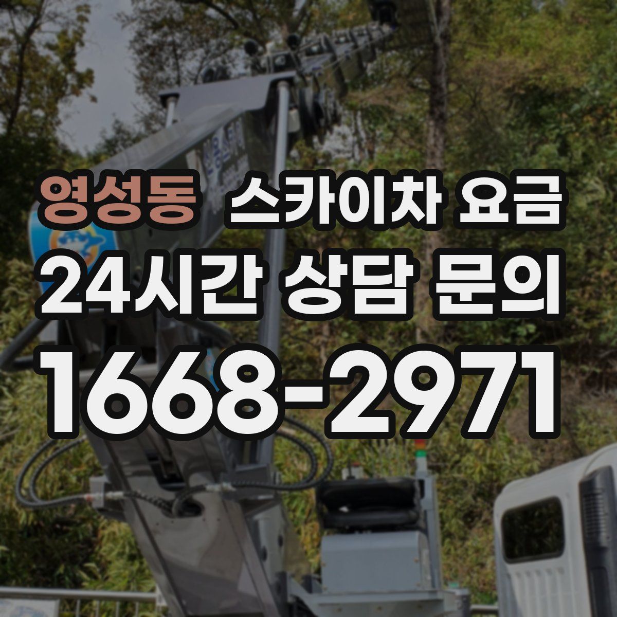 영성동 스카이차 요금
