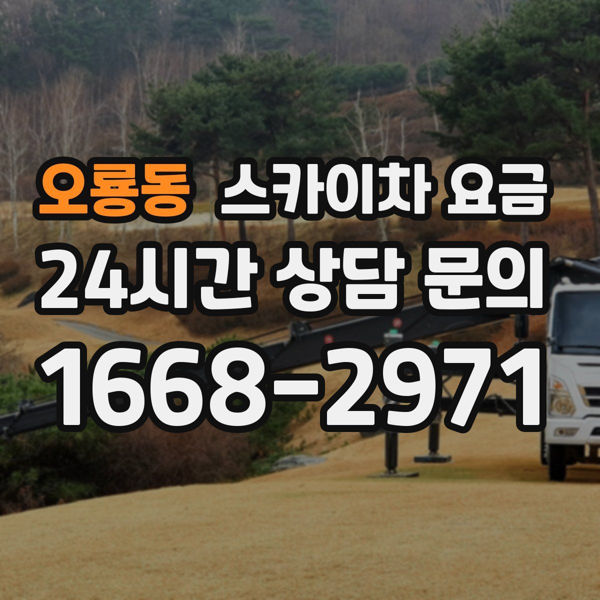 오룡동 스카이차 요금
