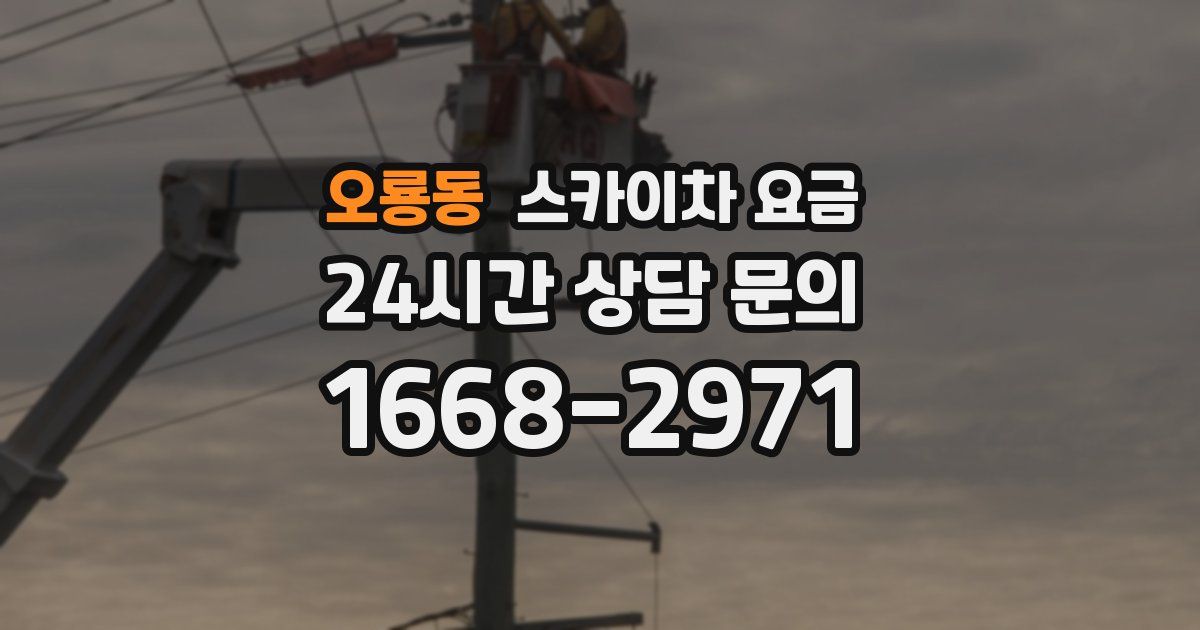 오룡동 스카이차 요금